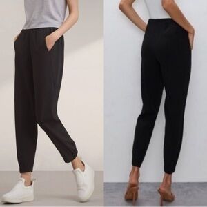 Aritzia Babaton Dexter Pants